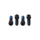 V-TWIN LOCK-ON REPLACEMENT TORX BOLT (M4-T15) - BLACK CHROME